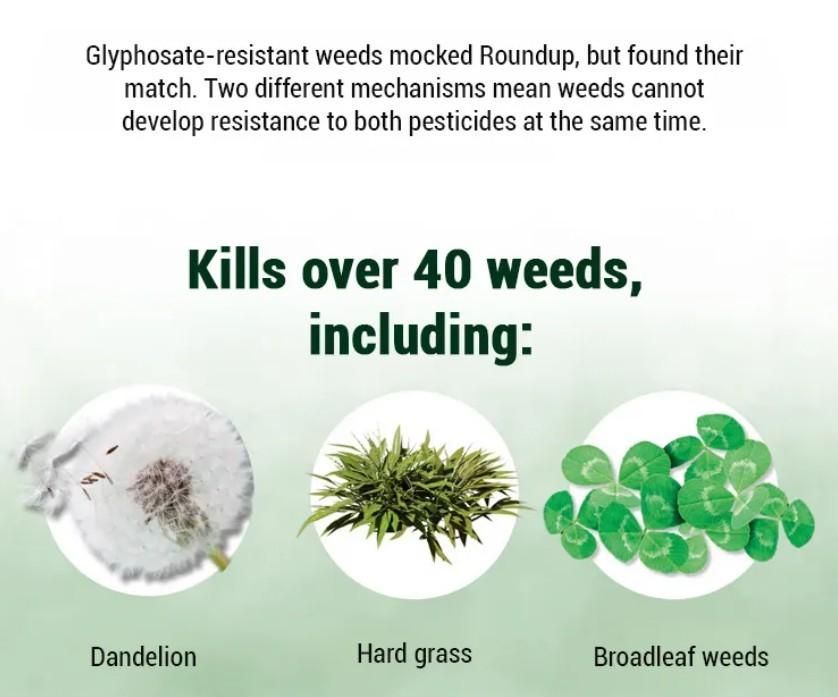 AI (Pack of 2) Dual-Action Weed Killer - Max Power Herbicide